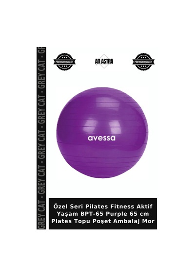 Özel Seri Pilates Fitness Aktif Yaşam Bpt-65 Purple 65 Cm Plates Topu Poşet Ambalaj Mor