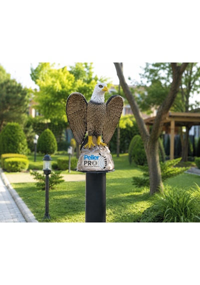 Kuş Kovucu Kartal Maketi
