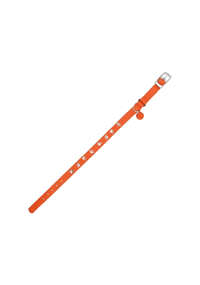 Royalist PC-11 Pati Baskılı Kedi-Köpek Tasması 10mm*30cm Turuncu