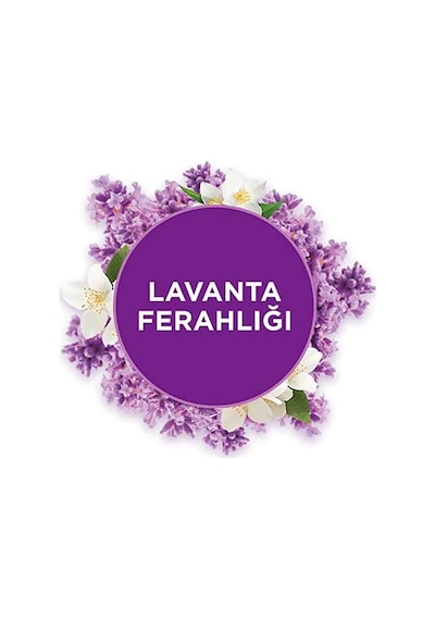 Banyo Hava Tazeleyici Cihaz Ve Yedek Lavanta Ferahlığı 10 Ml Abundance Prosperity