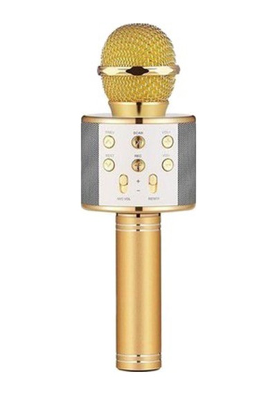 Winex Usbatf Sd Kart+3.5 MM Giriş Bluetooth Karaoke Mikrofonu Gold