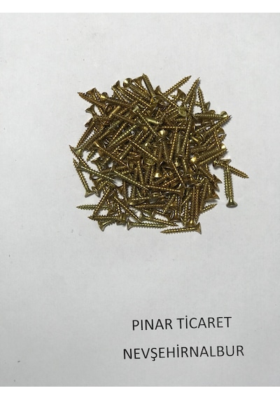 Sarı Sunta Vidası 100 Adet