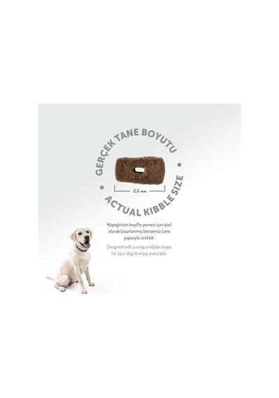 Az Tahıllı 3 Kg Yetişkin Kuzulu M/large Breed Hypoallergenic Köpek Maması