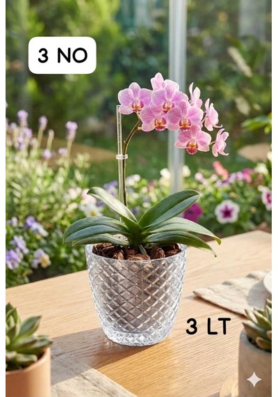3 No Şeffaf Orkide Saksı,ev-ofis Dekorasyonu İçin Dekoratif Desenli Şeffaf Saksı 3l 18x16cm Beyaz