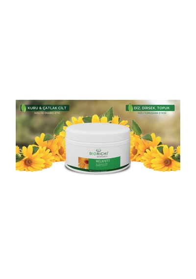Biorichi Aynısafa Merhemi 250 G