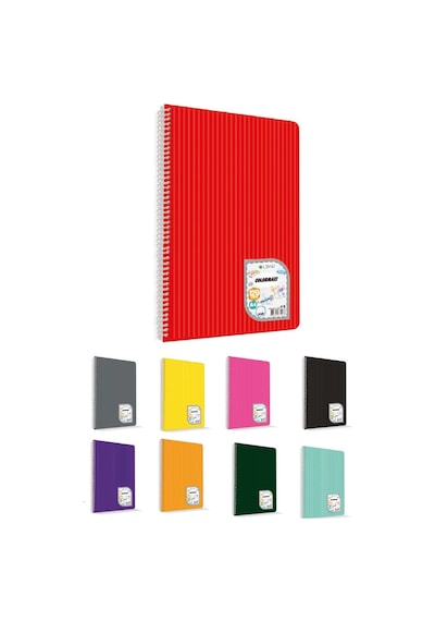 Çınar Colormaxi Spiralli Defter Plastik Kapak A4 96 Yp Düz 96/0 Çok Renkli