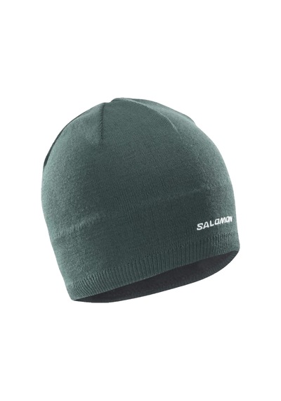 Salomon Salomon Unisex Yeşil Bere 22889