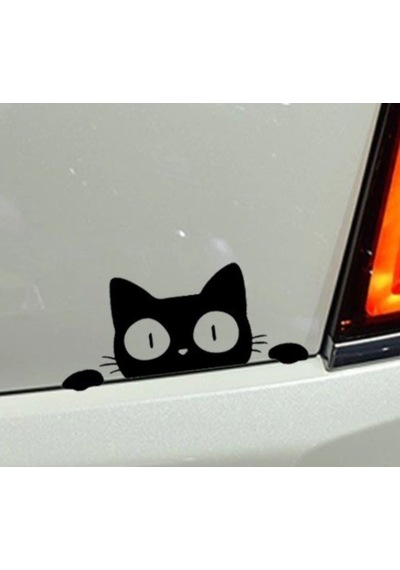 Kedi Oto Araba Sticker Yapıştırma
