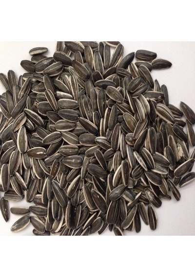 Doğal Siyah Çerezlik Çitlemelik Ayçiçeği Çekirdek Tohumu 1 Kg