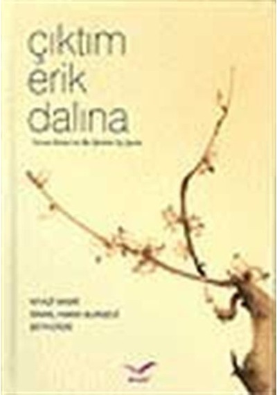 Çıktım Erik Dalına / Kolektif