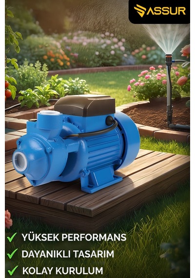 Assur Qb80 43m Basınç Yüksekliği 1 Hp Bakır Sargı Elektrikli Santrifüj Pompa Su Motoru-3150