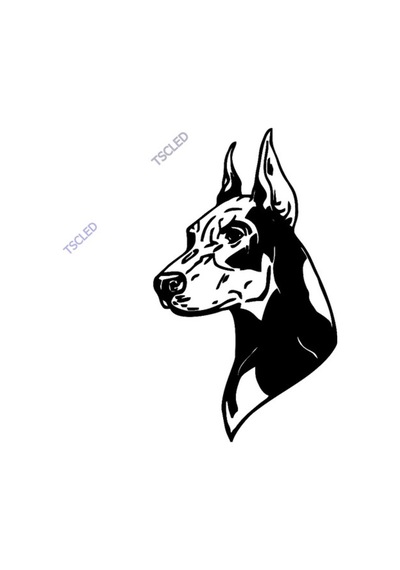 Dobermen Köpeği Stickerı Yapıştırması 17Cm