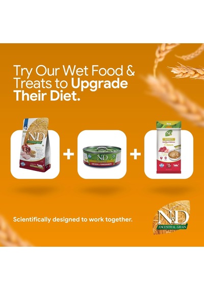 N&d Ancestral Grain Kedi Maması, Kuru Mama, Tavuk, Kılçıksız Buğday, Yulaf Ve Narlı, Kısırlaştırılmış, 5 Kg