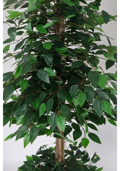Yapay Çiçek Deposu Gri Metal Saksıda Yapay Benjamin Ağacı Ficus Benjamina 180 Cm Yeşil
