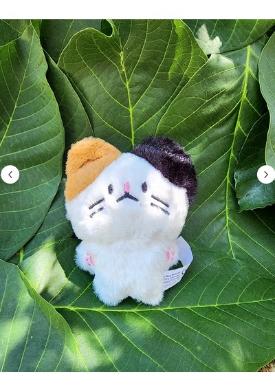 Pepikon Enhypen Skzoo Kpop Peluş Oyuncak Anahtarlık 10 Cm Çanta Süsü Aksesuar Beyaz - Krem