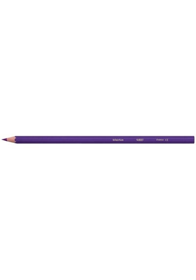 Bic Kids Evolution Kuru Boya Kalemi 36 Renk Metal Tüp 968491
