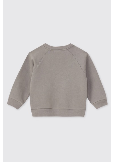 Panço Erkek Bebek Reglan Kollu Gri Takım 2621BB17003