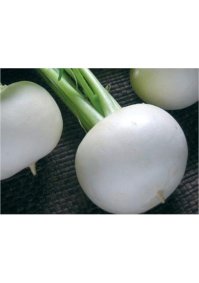 Turp Kestane Beyaz Tohumu 10 Gr
