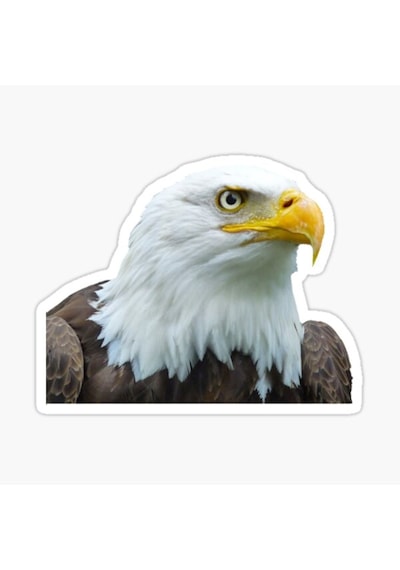 Araba Için Kartal Oto Sticker Yapıştırması Etiket 17Cm A8