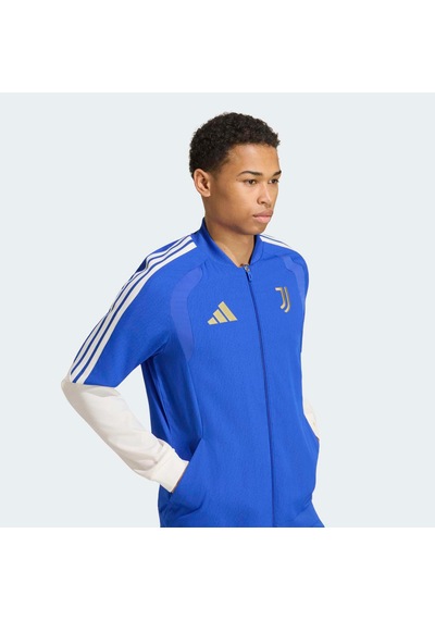 Adidas Juventus 26/27 Tiro26 Competition Presentation Erkek Ceket Kq9280 Çok Renkli