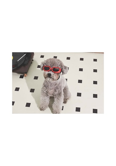 M-pets Sunny Daytrip Köpek Gözlüğü Kırmızı 15,2x4,9 Cm 244-54043.01