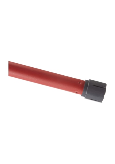 Sap, Kırmızı - B079sd8cdr