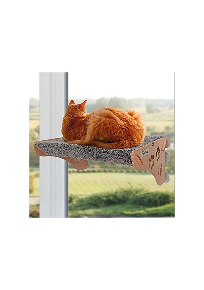 Yapışan Kedi Yatağı
