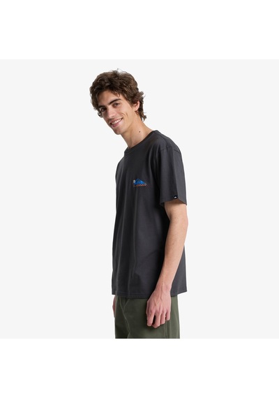 Quiksilver Fruits Tide Erkek Gri T-shirt Eqyzt08285