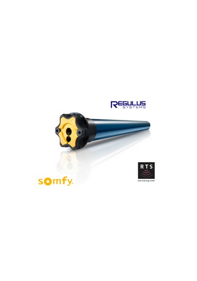 Somfy Boost 15 Alıcılı Motor Rts
