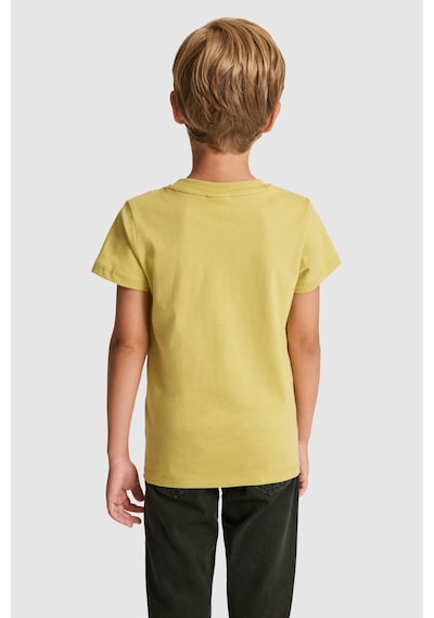 U.S. Polo Assn. Erkek Çocuk Tişört Basic 50325555-vr235 Yag Yesılı