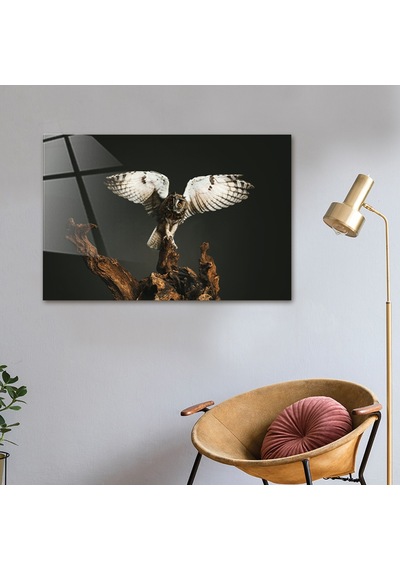 Decorita Hayvanlar | Cam Tablo | Baykuş - Kanatları Açık