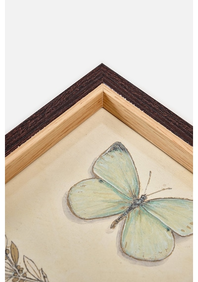 Butterfly Çerçeve 6 8