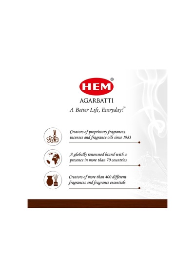 Hem Tütsü Geri Akış Şelale Beyaz Adaçayı Kokulu 40 Konik Tütsü - White Sage Backflow Incense Cones