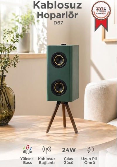 Salon Aracı Parti Cihazı Kablosuz Hoparlör 24w 3000mah Taşınabilir Ayaklı Speaker D67 Yeşil