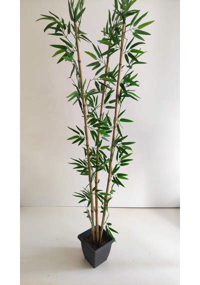 Rüzgar Yapay Çiçekçilik 170 Cm 3 Lü Bambu Yeşil