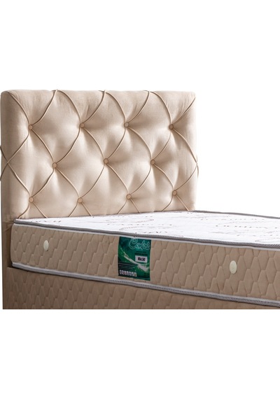 Setaymobilya Baza, Vita Bej Tek Kişilik Baza + Başlık + Comfort Yatak