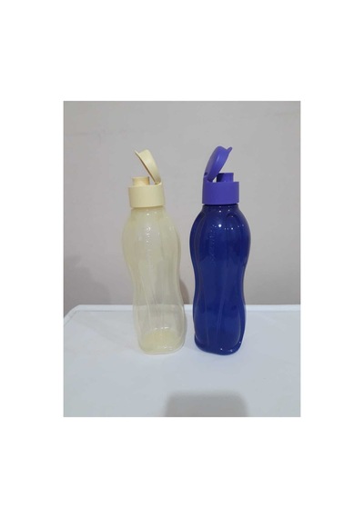 Eko Şişe 750 Ml 2 Li Yeni Renkler Suluk Matara Mor-açık Sarı