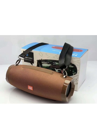 Portable Tg504 Wireless Speaker