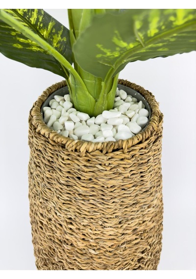 Biçiçek Yapay Monstera Ve Di̇fenbahya Ağacı Bohem Saksıda