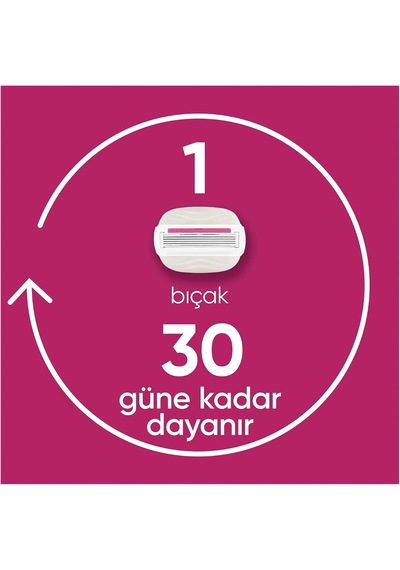 Comfortglide Sugarberry Kokulu Miami Kadın 3'lü Yedek Bıçak