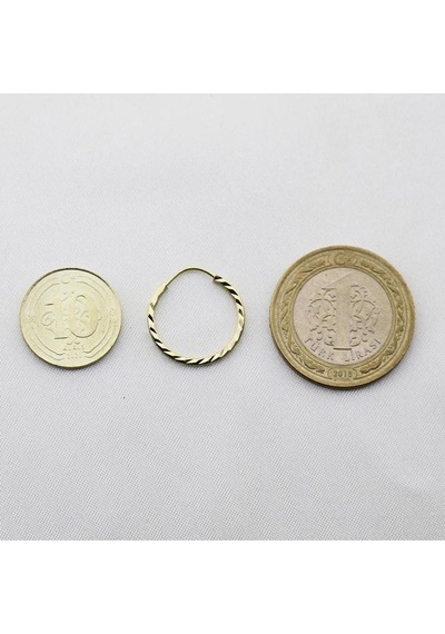 Yelpaze Kalemli Altın Halka Küpe Çapı: 1.8cm Pembe Altın