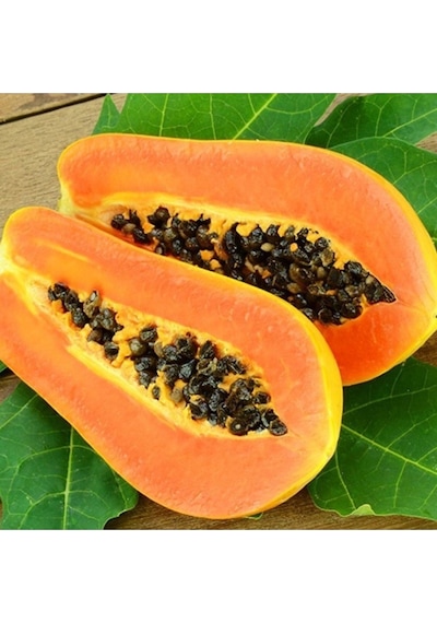 Papaya Ağacı Tohumu Ithal Tropikal Papaya Ağacı Tohumu Yetiştirme Kiti