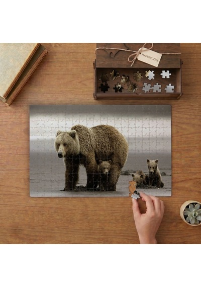 Boz Ayı Ve Yavruları Tasarımı 240 Parça Ahşap Puzzle Ahşap Kutuda Mpy20437