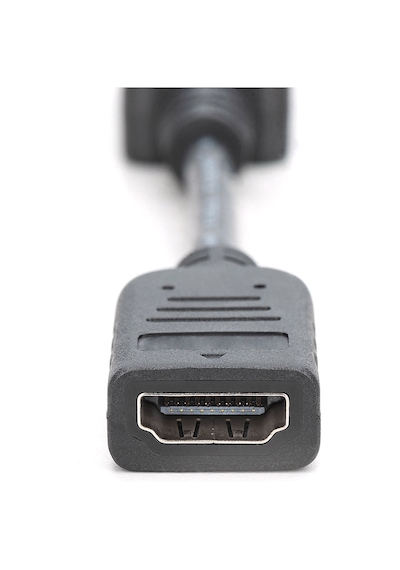 Dıgıtus Dp-hdmı Görüntü Adaptörü 0,15m Ak-340400-001-s -216570