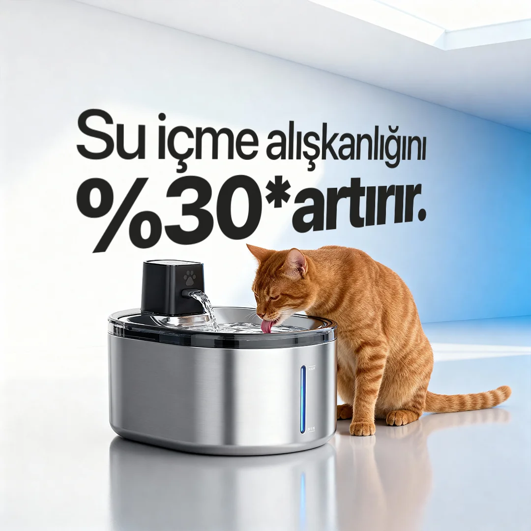 Ki-drinker 2 Kablosuz Şarjlı Otomatik Akıllı Su Pınarı