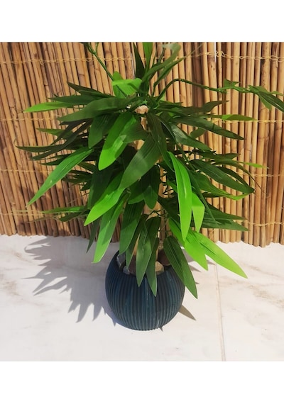 Yapay Bambu Ağacı Sukulent Antrasit Gri Saksıda 30 Cm Boy Çiçek Yeşil