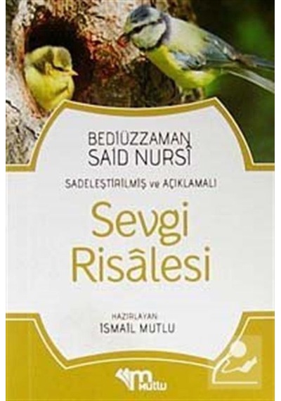 Sevgi Risalesi / Sadeleştirilmiş ve Açıklamalı / Bediüzzaman S...