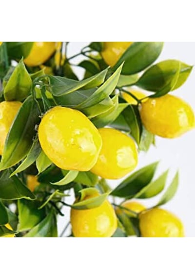 Rüzgar Çiçekcilik Yapay Limon Demeti Sarı