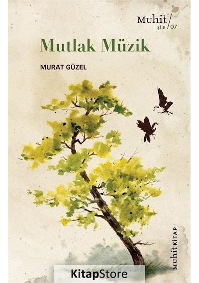 Mutlak Müzik / Murat Güzel