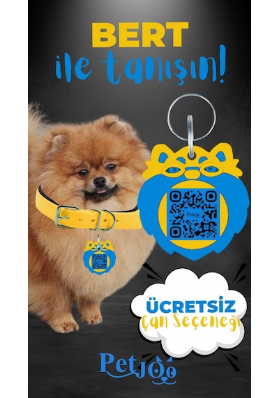 Petjoo 13.Bert Mavi-Sarı Qr'lı Köpek Künyesi